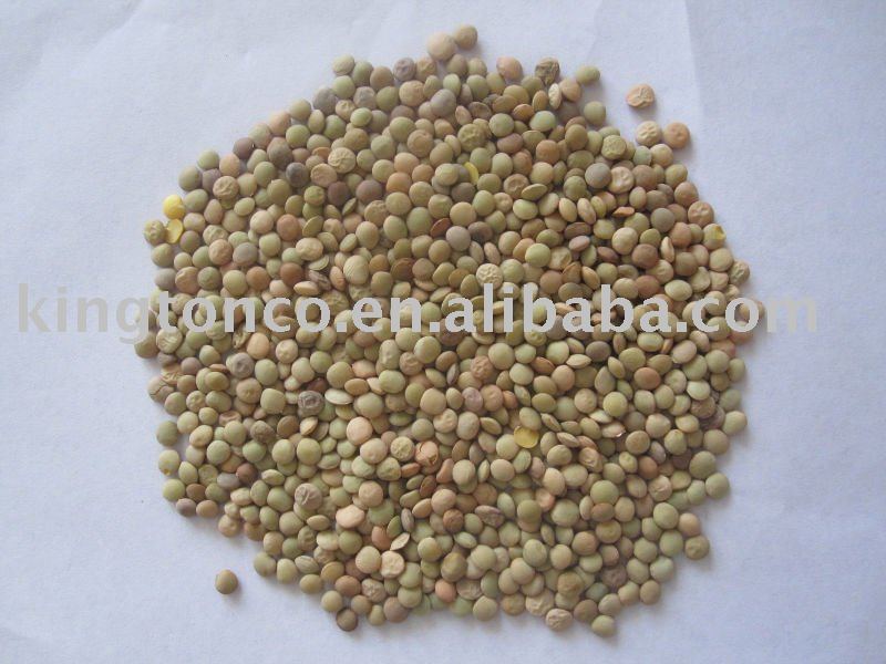 green LENTIL with husk