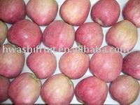  New   red   star   apple 