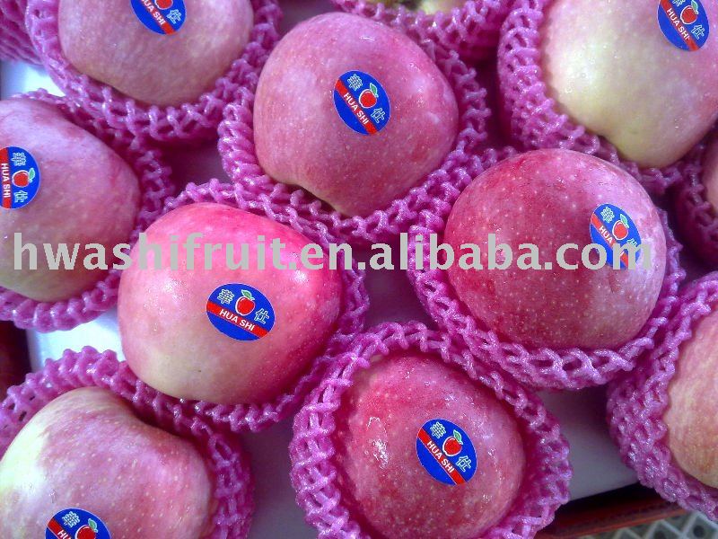 Fresh new red star apple