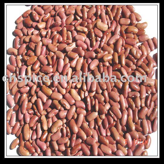 high quality light Red Kidney Beans