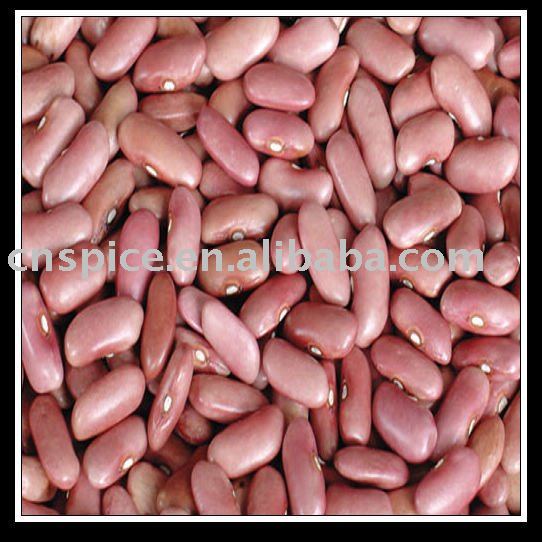 high quality Red Kidney Beans