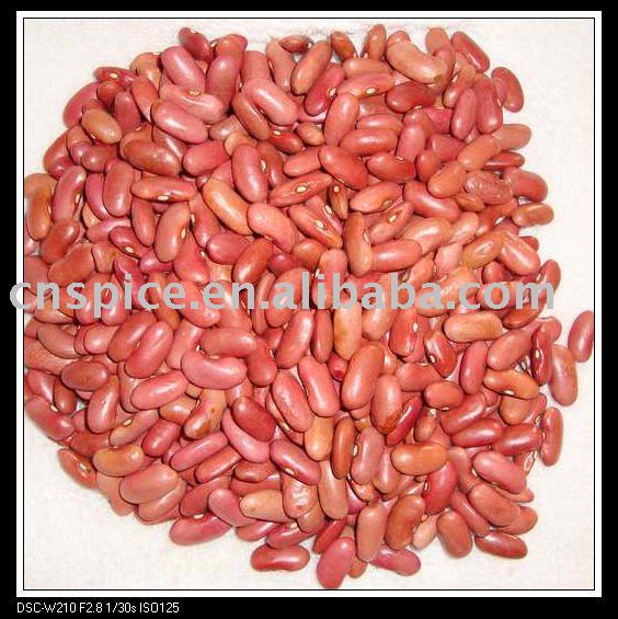 light Red Kidney Bean