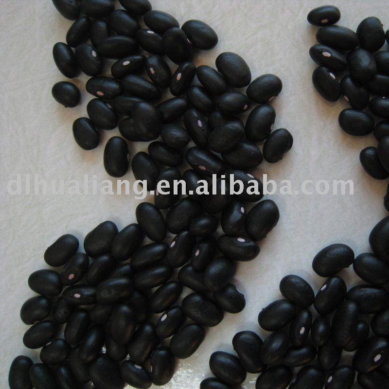 Chinese Black Kidney Beans