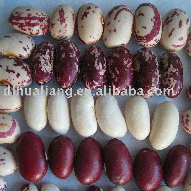 Chinese Kidney Beans