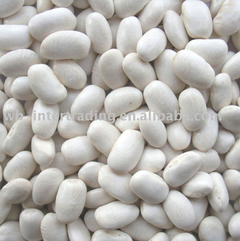 2010 New Crop White Kidney Beans(Medium Type)