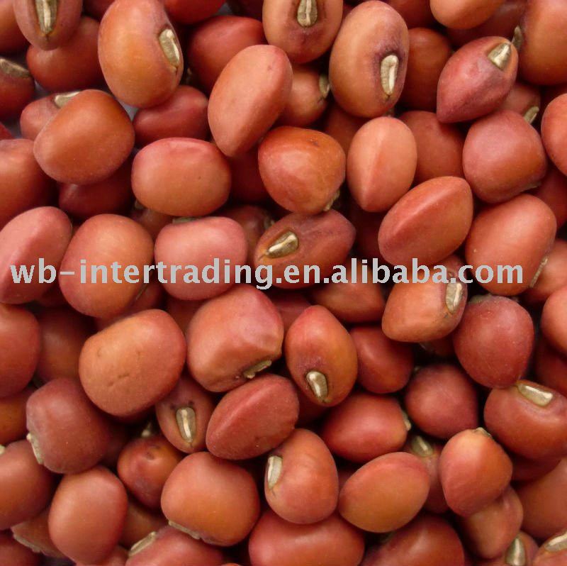  Red  Cow  peas  2010 Crop