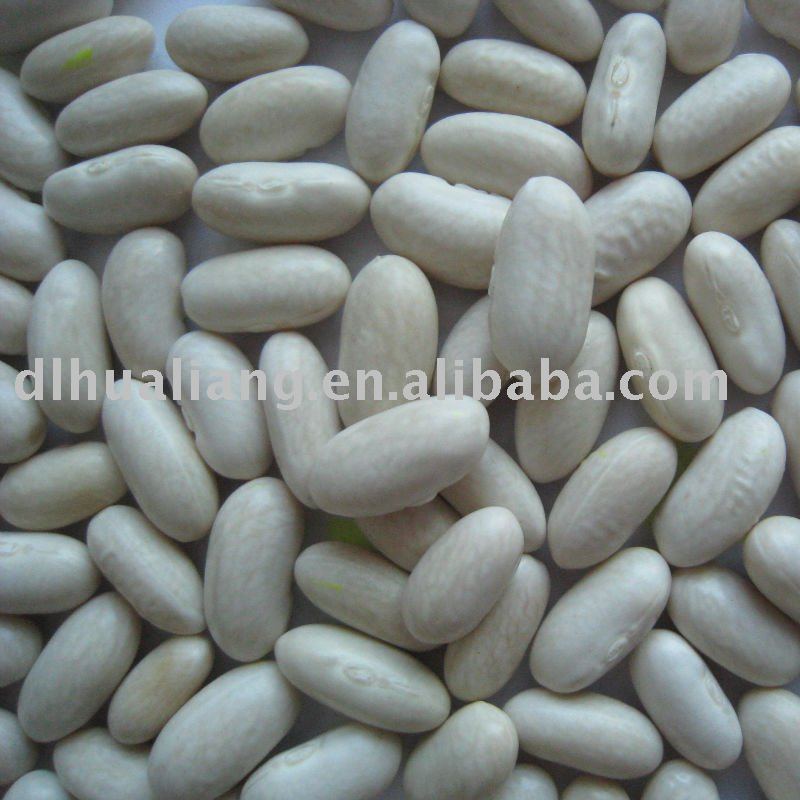 Large White Kidney Beanchina Wf Price Supplier 21food