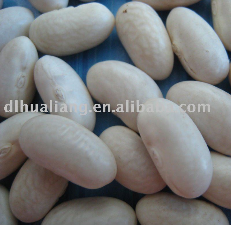 White Kidney Beans (Spanish Type),China WF price supplier 21food