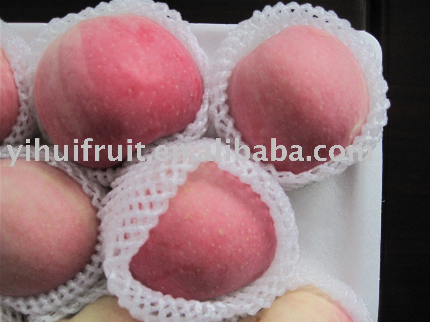  Red  Fuji  apple  (with bag)04