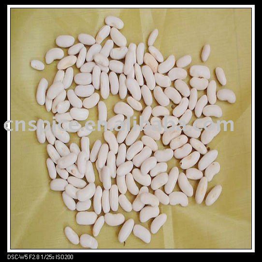 white kidney beans (yunnan origin)