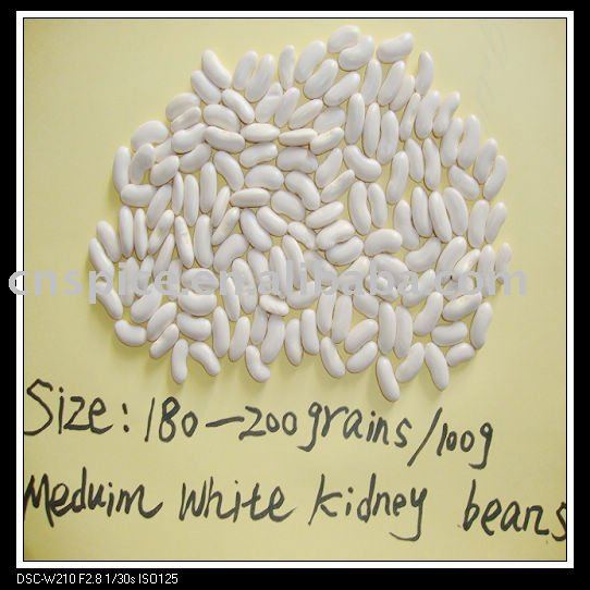 2010 New Crop Chinese white Kidney Beans