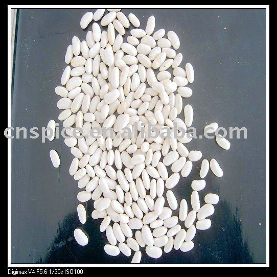 2010 hot sales kidney beans (yunnan origin)