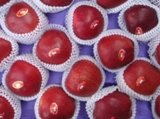 China  Red   Huaniu  Apple