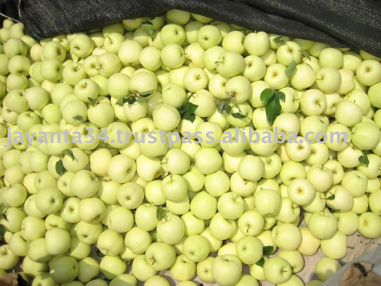 premium quality golden delicious fresh  apple