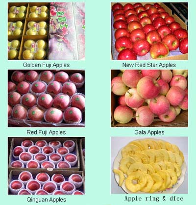 Red Fuji, Golden Fuji, New Red Star Apple, Qinguan Apple, Apple Ring, Apple Dice, Apple Piece