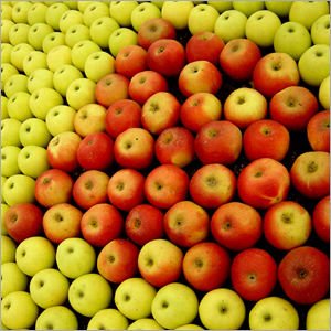 fresh apples