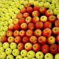 Brand  new   fresh   apple s
