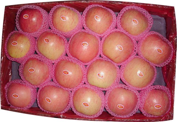Red Fuji Apples, Yellow Fuji Apples, Green Fuji Apples