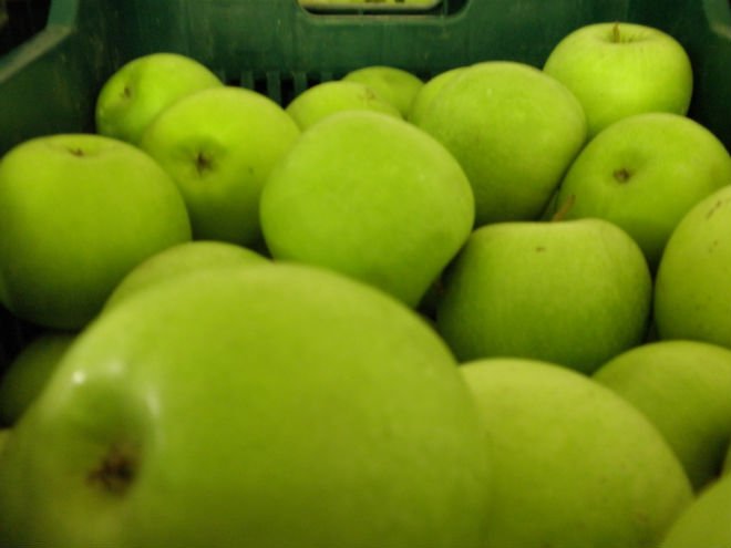 apples-granny-smith-greece-granny-smith-price-supplier-21food