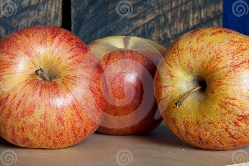 Royal Gala Apples Argentina