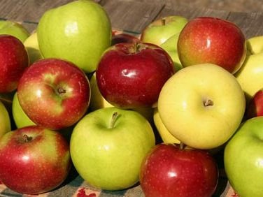 FRESH APPLES OTHER FRUITS READY FOR EXPORT