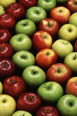 Apples,Chile price supplier - 21food