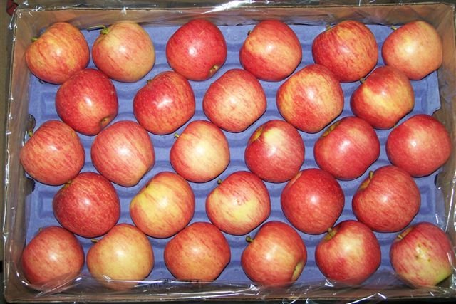 Apples from  Argentina  ,Chile