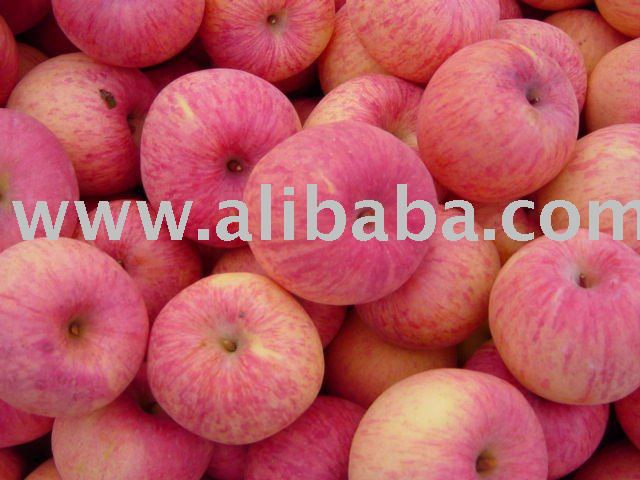 Chinese Red Fuji Apples