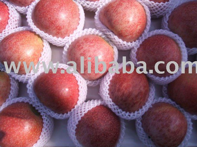Chinese Red Qinguan Apples