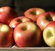 Fuji  apple , Red  Delicious , Golden  apple ,  Qinguan   apple 
