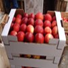 idared apples