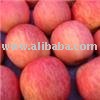 FRESH FUJI APPLES