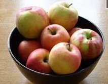Apple Kashmir- ACME