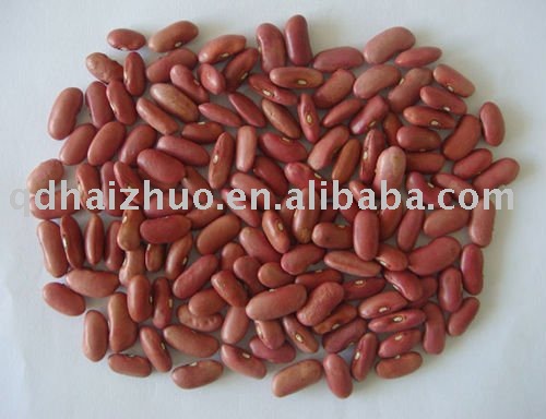 light red kidney beans