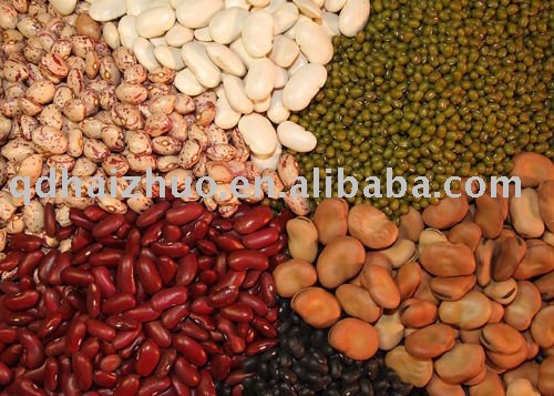 pulses