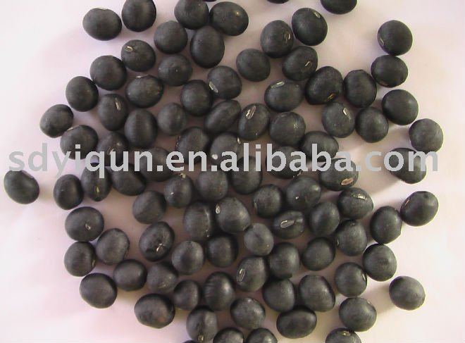 Tanba black beans