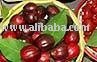  Malay  apple