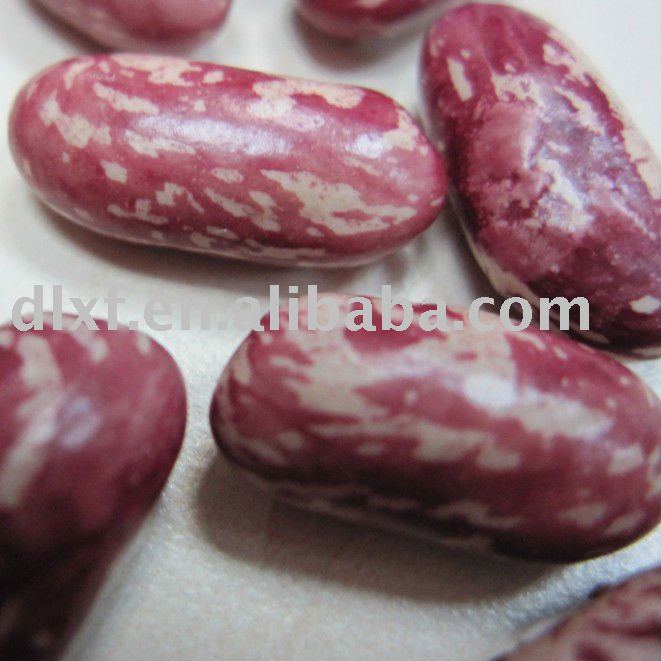  Red   speckled  bean