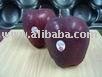 Red delicious Apple