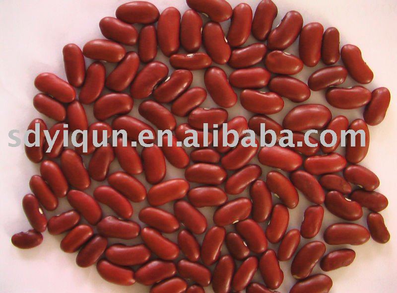 dark red kidney bean