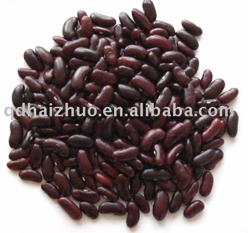  Pulses  and  beans 