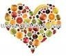 Fresh Fruits: Apple,Kiwi,Pomegranate,Date....