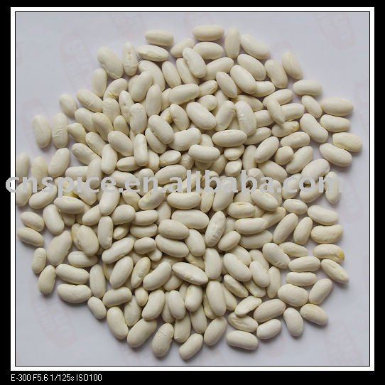  New   crop   white   bean s