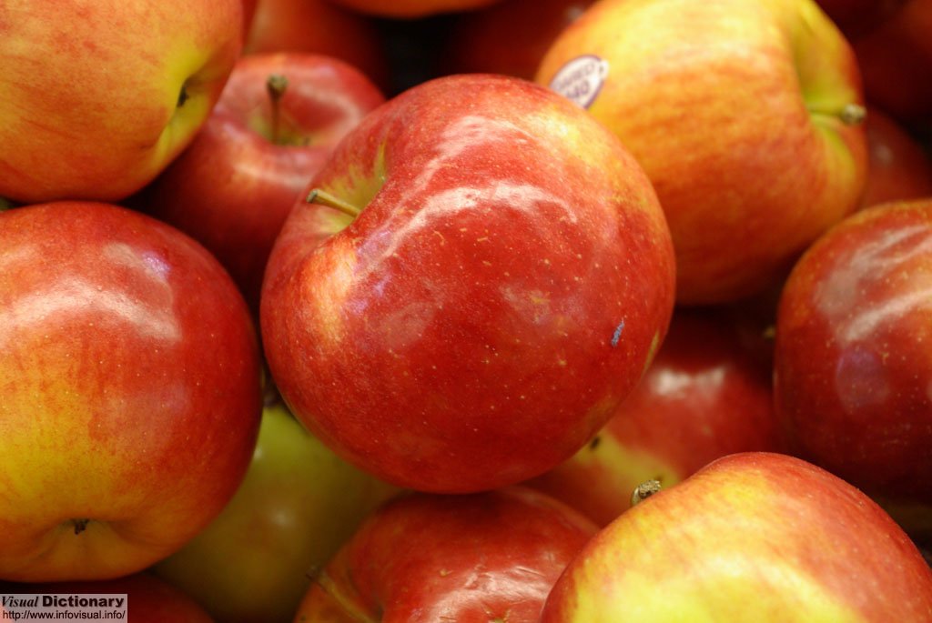 Fresh red apple IDARED