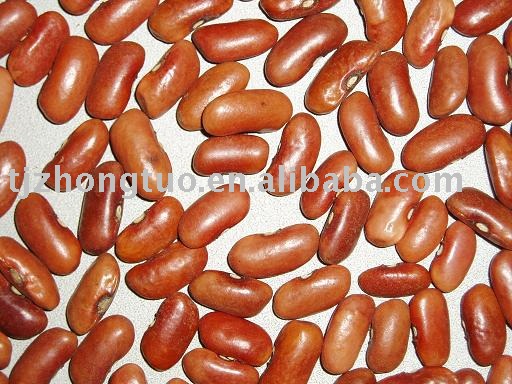 chinese light red kidney beans