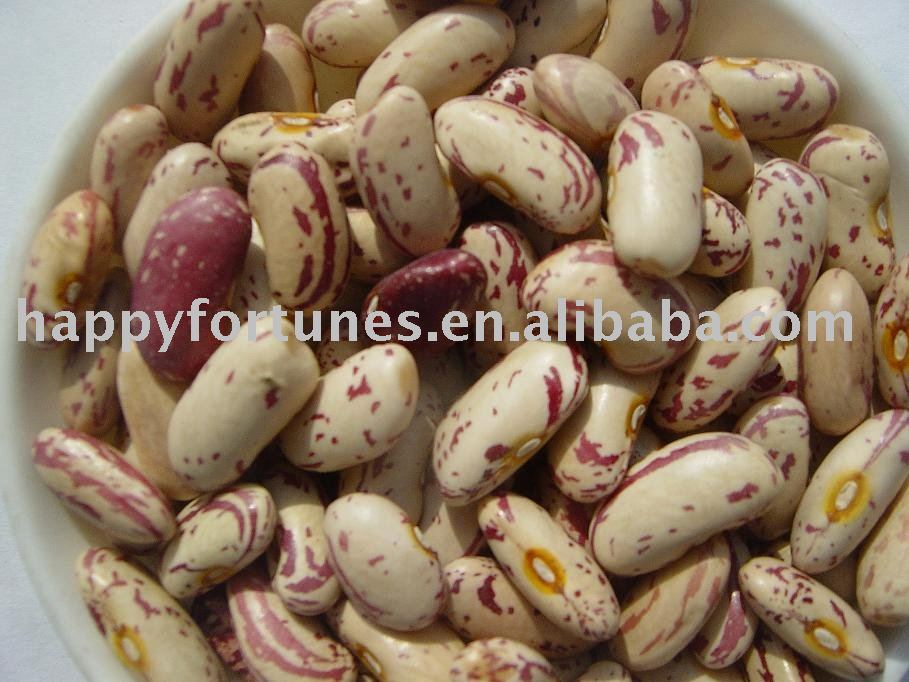 light speckled kidney bean kidney bean dongbei bean pulses
