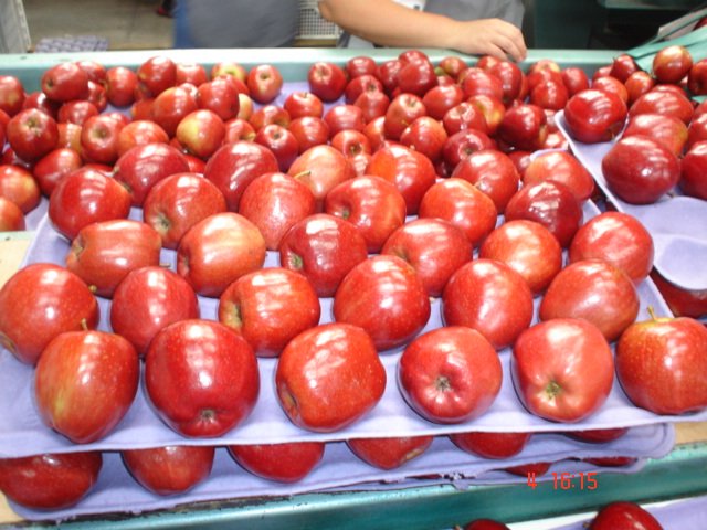 Red Delicius Apple