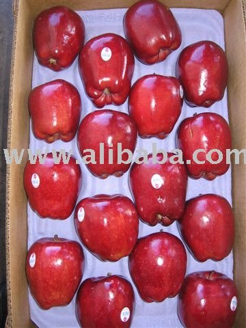 Washington Red Delicious Apples