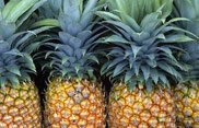 Sri Lankan Pine Apple