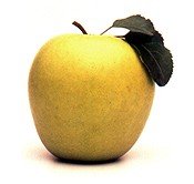 Golden Delicious Apples